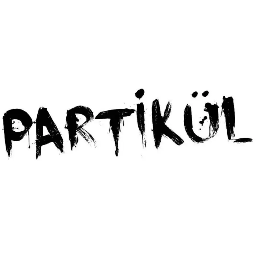 Partikül Matematik - En iyi lgs youtube kanalları