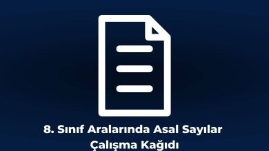 8. Sınıf Aralarında Asal Sayılar Çalışma Kağıdı Kapak Resmi