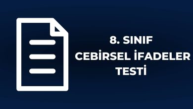 8. Sınıf Cebirsel İfadeler Testi Kapağı